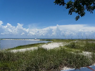 Bald Point State Park