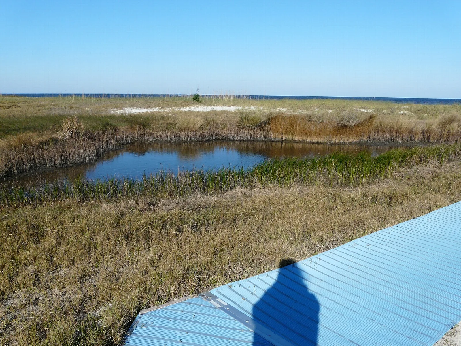 Marsh pond behind dunes with blue roof of a platform in front
