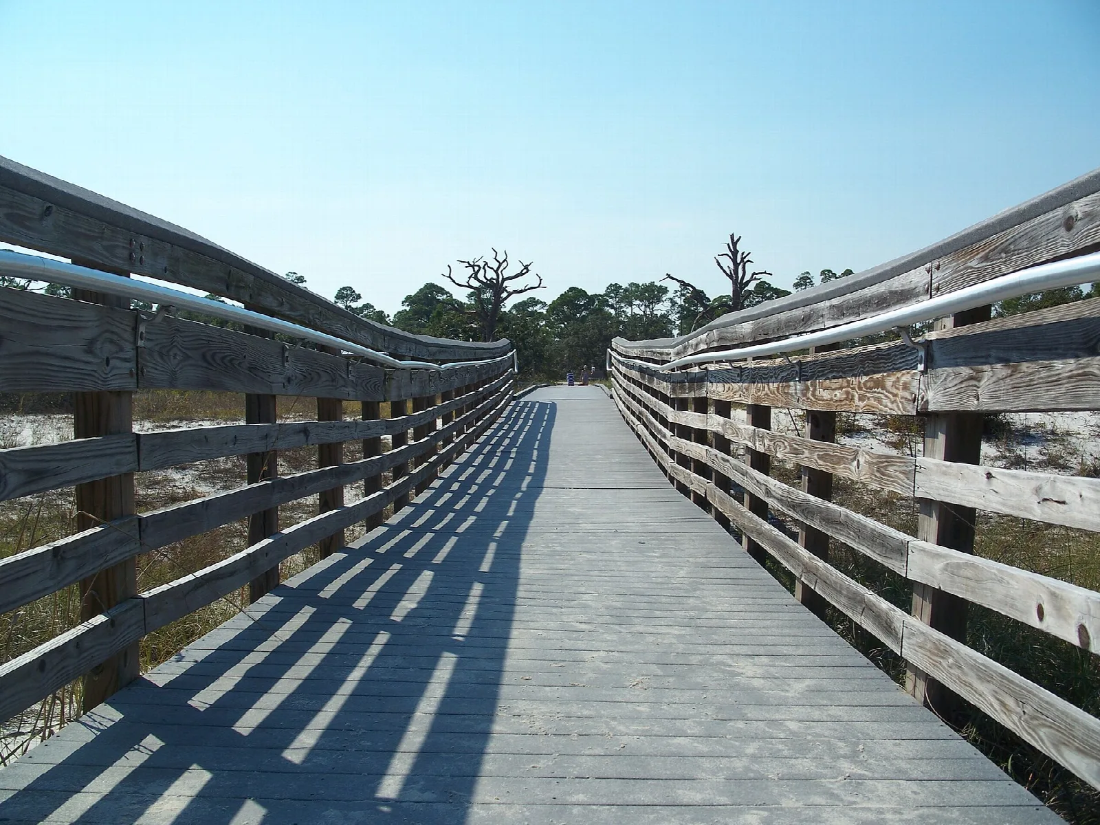 Long wooden boardwalk running toward trees under blue sky