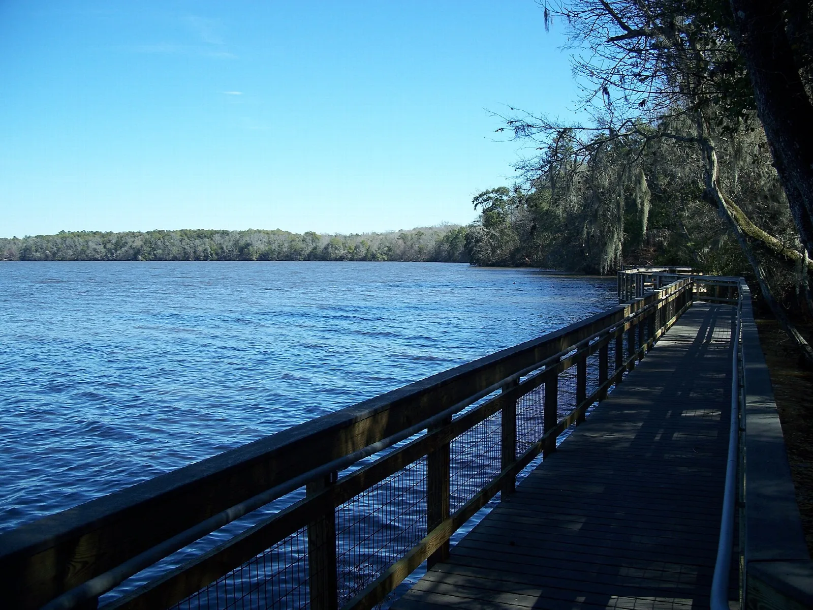 Wood boardwalk beside wide blue lake with a far tree line