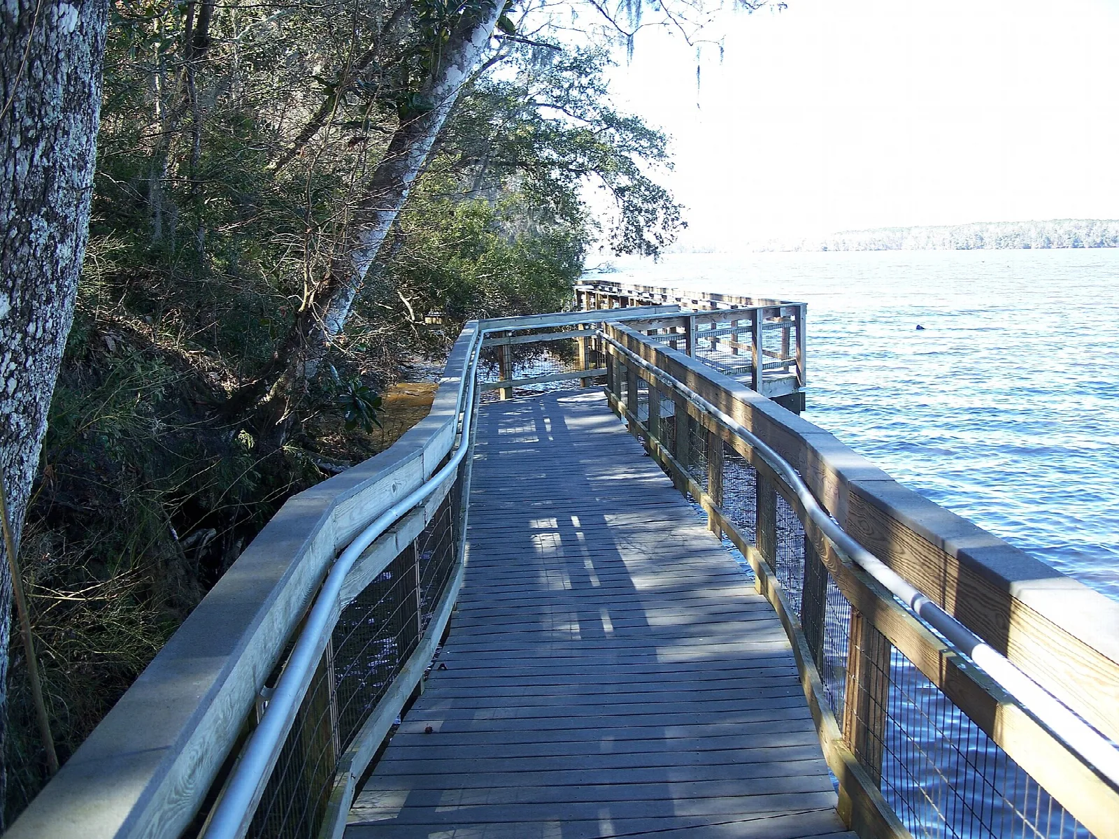 Boardwalk along the lake edge with railings and trees
