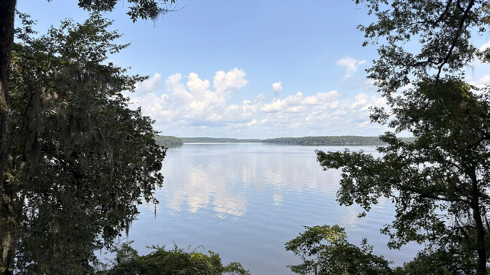 Wide blue lake with puffy clouds framed by trees