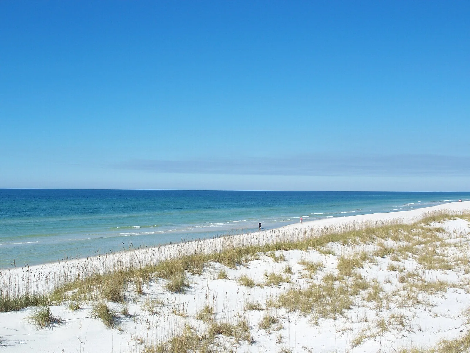 White dunes with sea oats above blue Gulf water