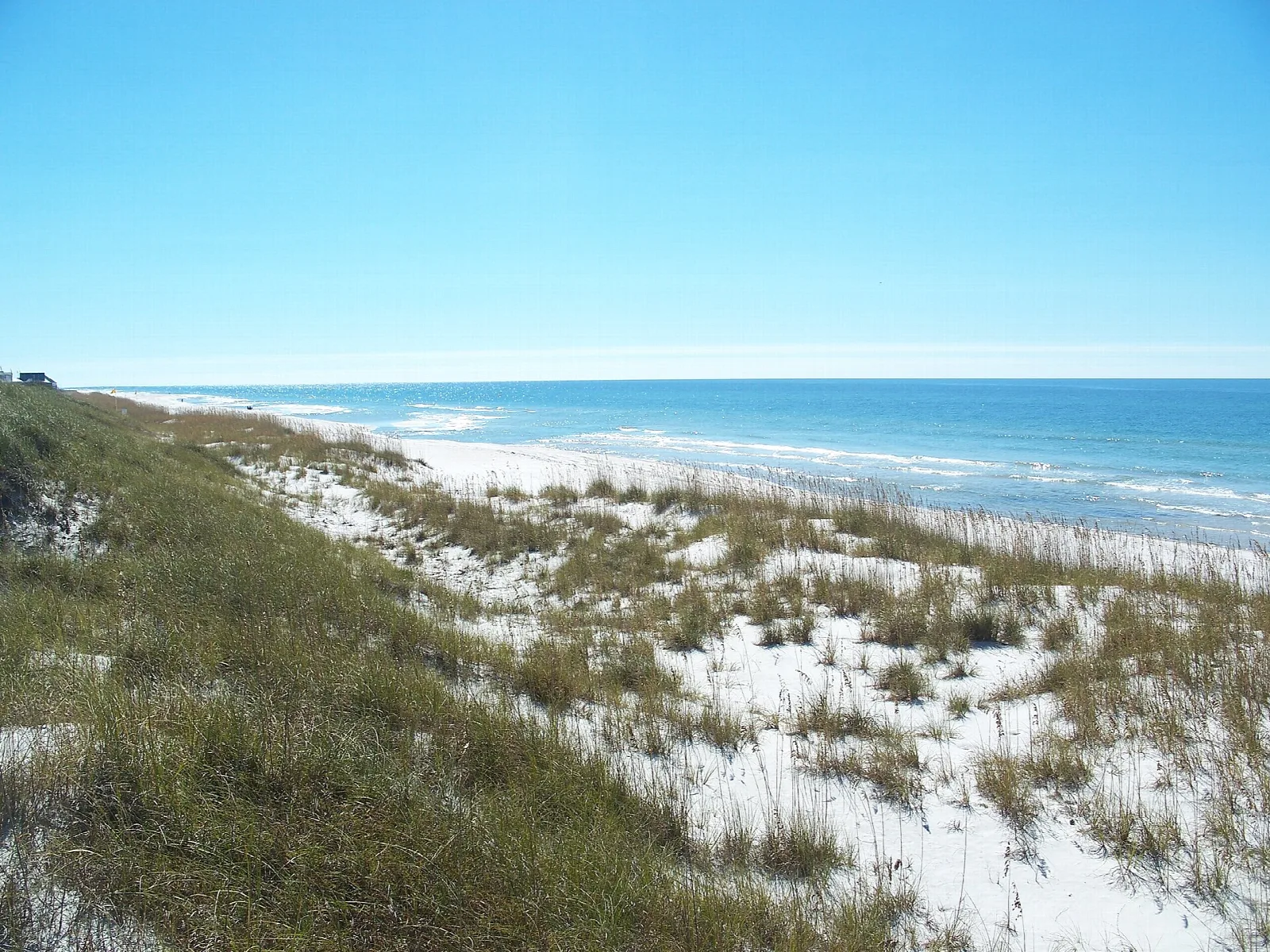 Dune slope and sea oats above a long white beach