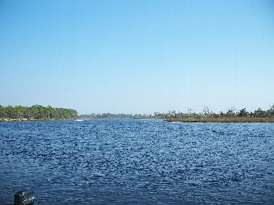 Ochlockonee River State Park