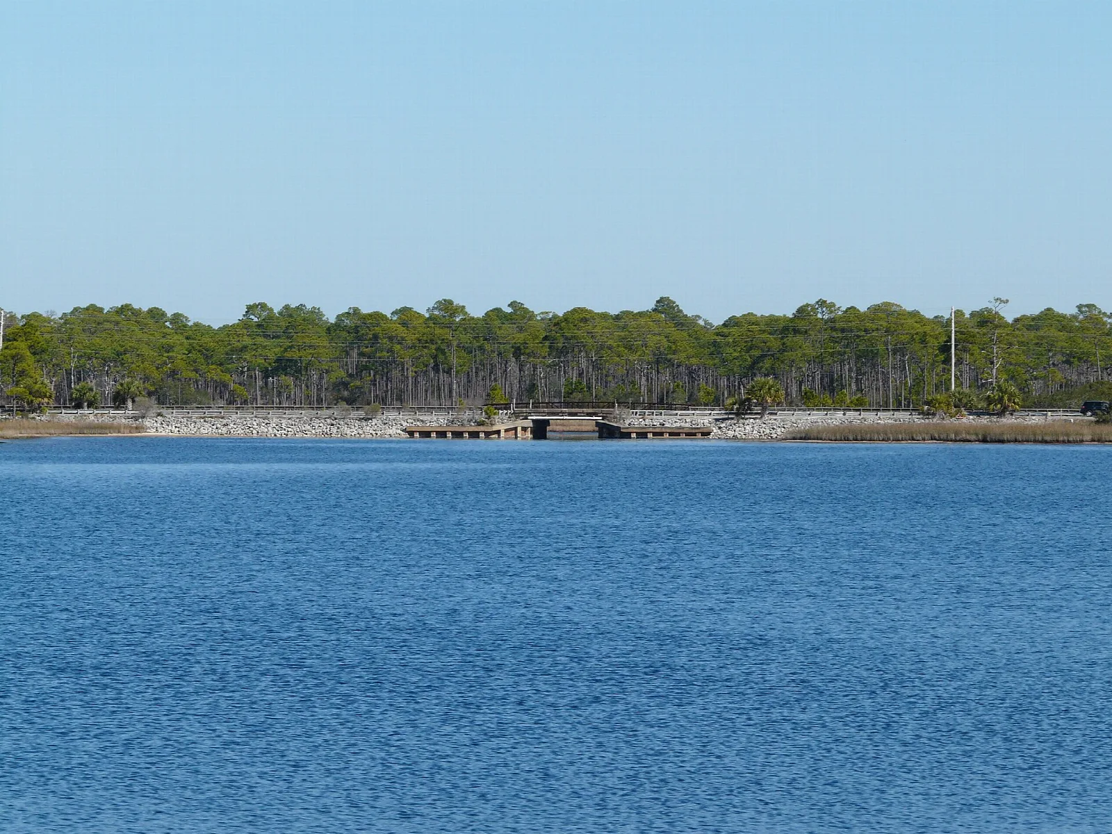 Blue coastal lake with a low pine shoreline beyond
