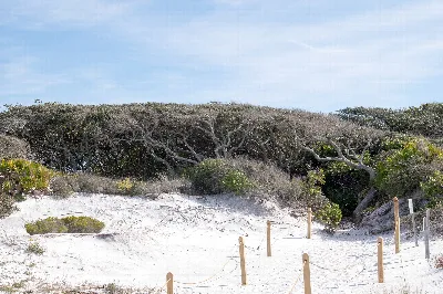 Grayton Beach State Park