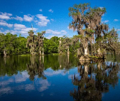 Edward Ball Wakulla Springs State Park