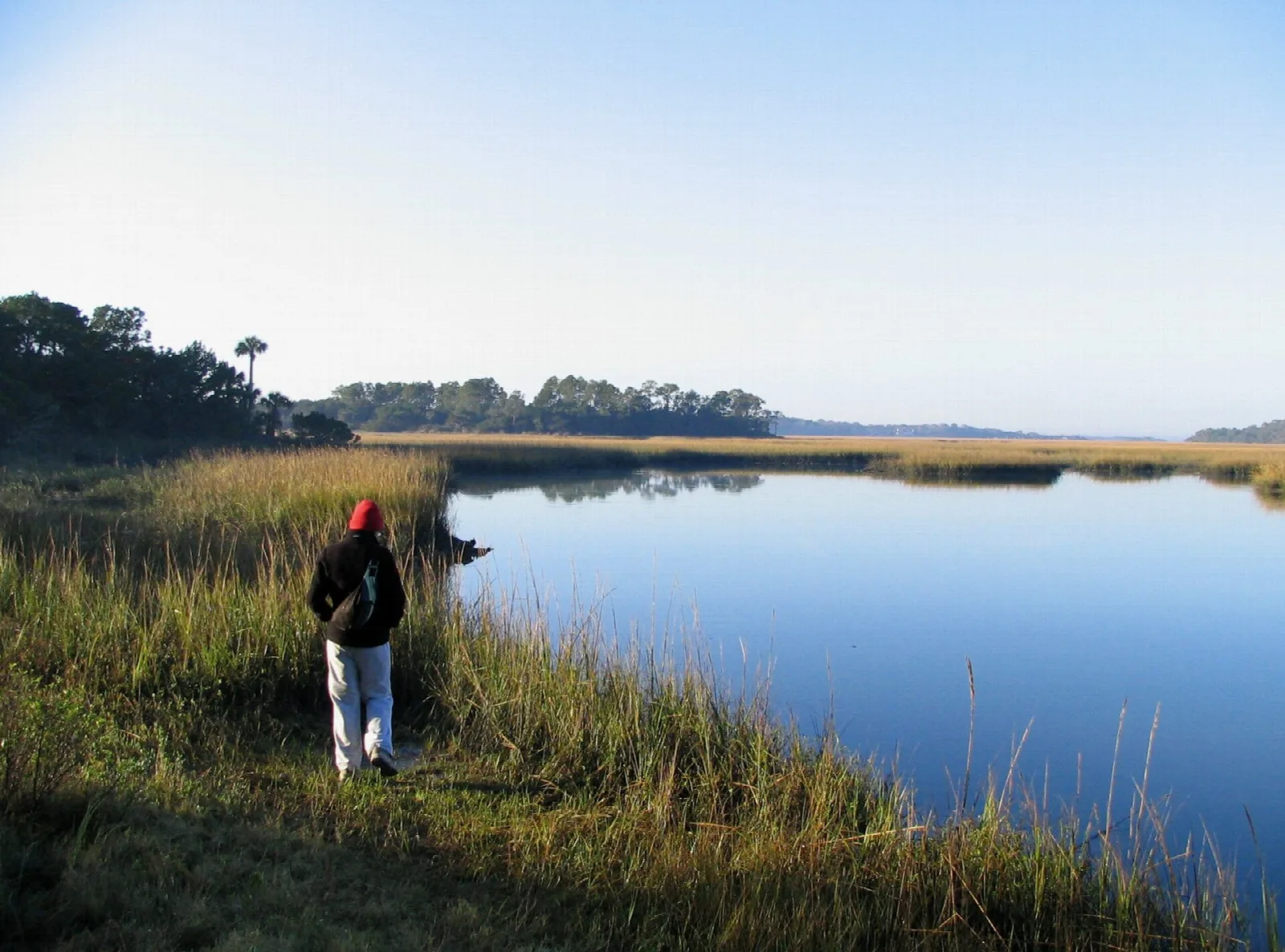 Salt marsh creek with a person standing in the grass on the bank