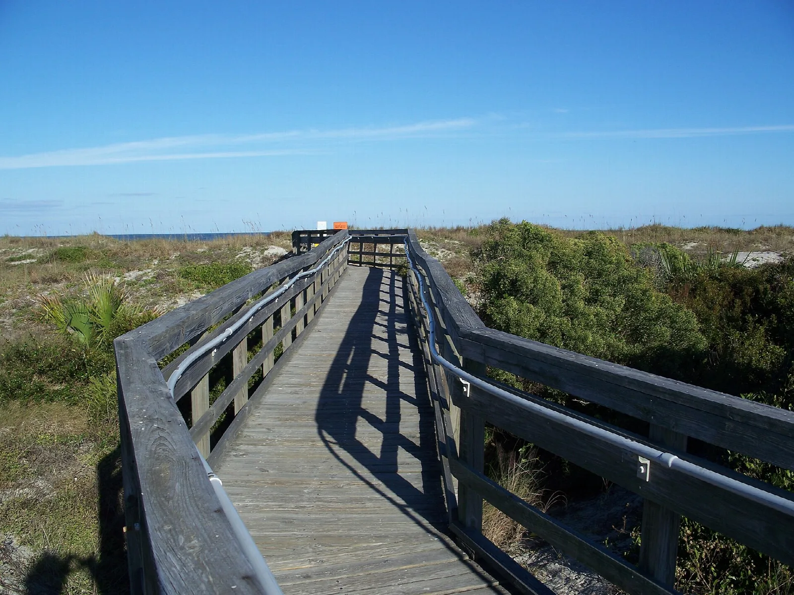 Wooden boardwalk with rails through dune scrub