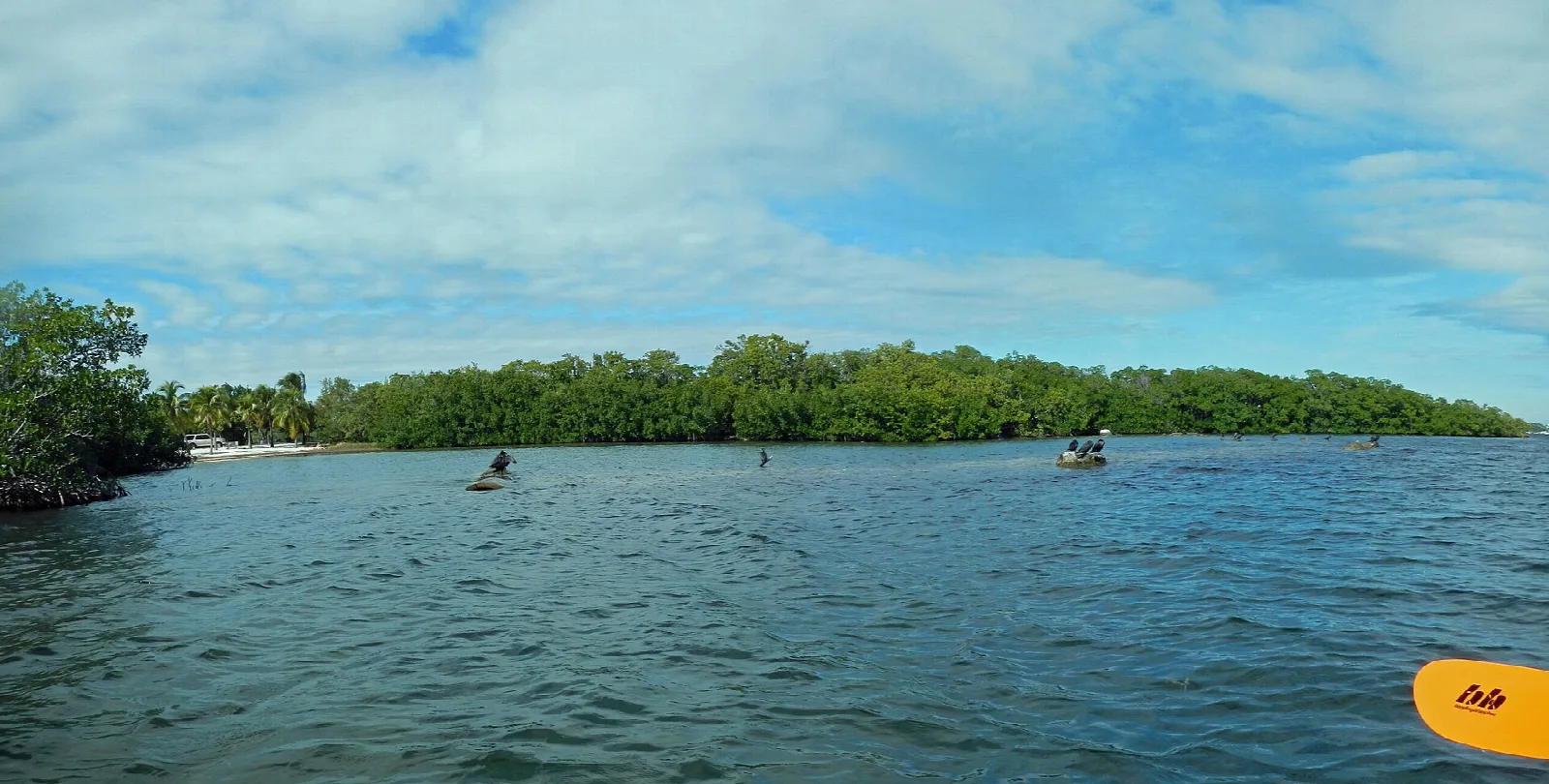 Two paddlers on calm water off a low mangrove island under a cloudy sky