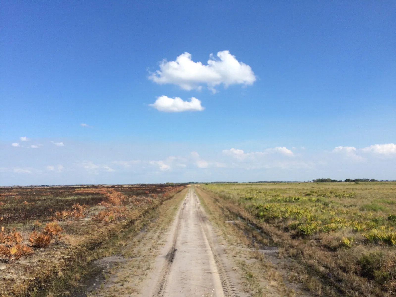 Sandy track running across open prairie under blue sky