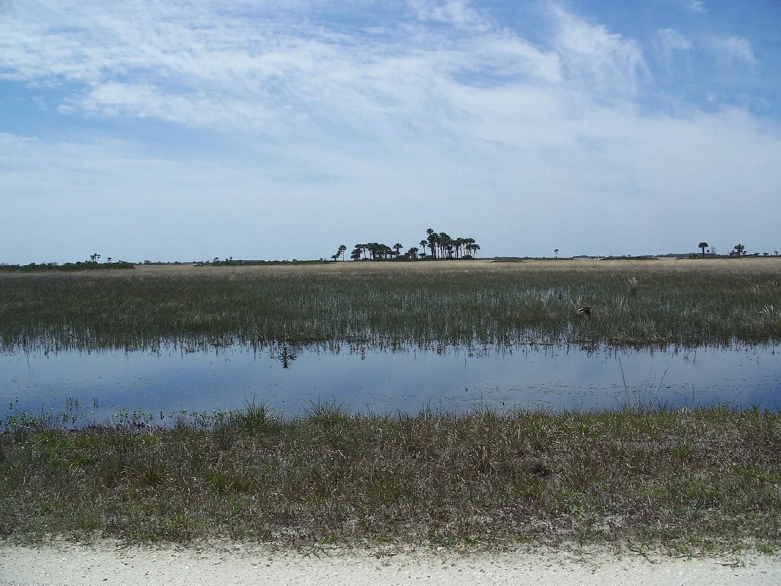 Wide wet prairie and shallow water under a big sky with distant oaks