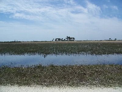 Kissimmee Prairie Preserve State Park