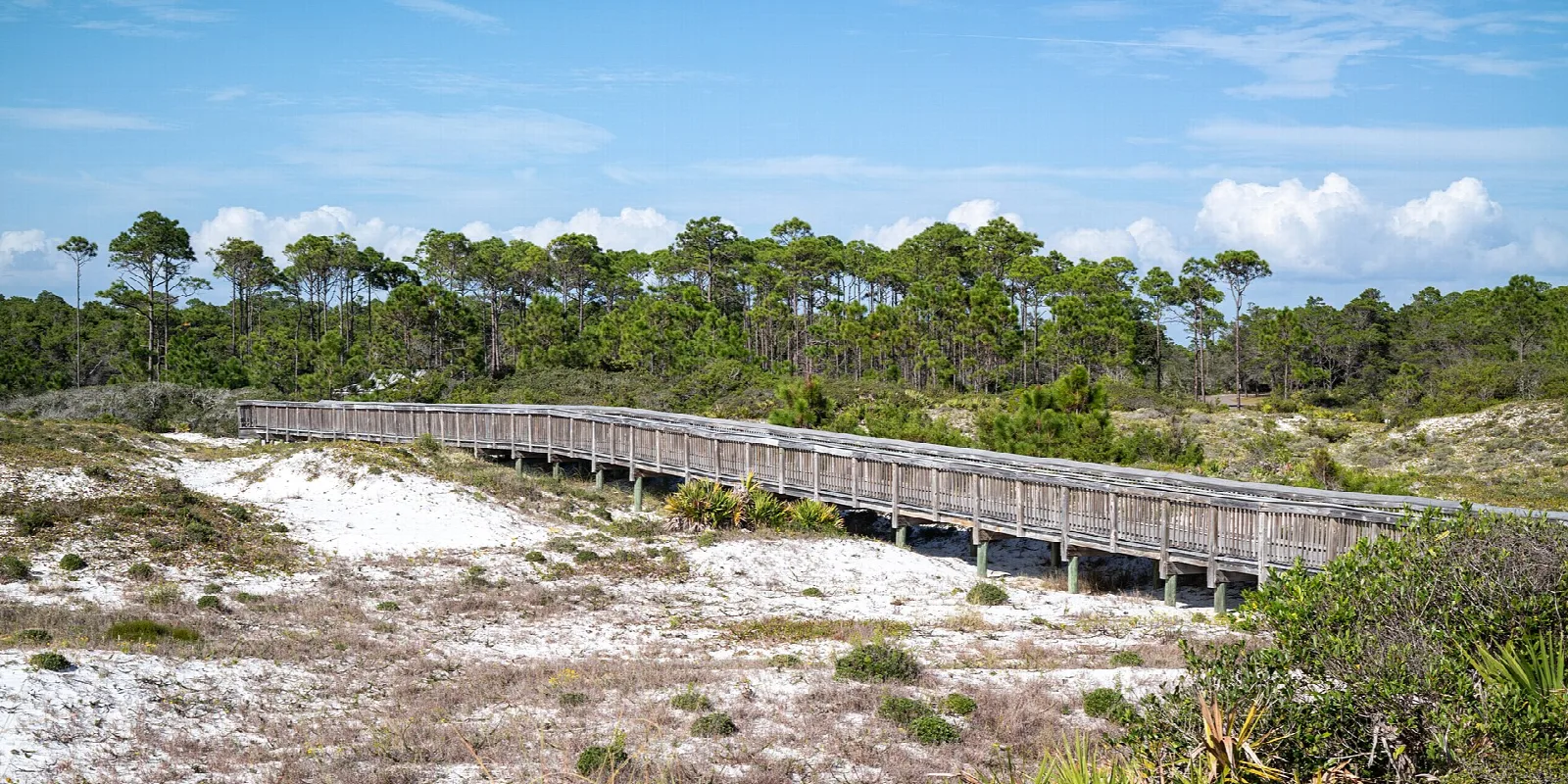 Wood boardwalk crossing white dunes toward pines under blue sky