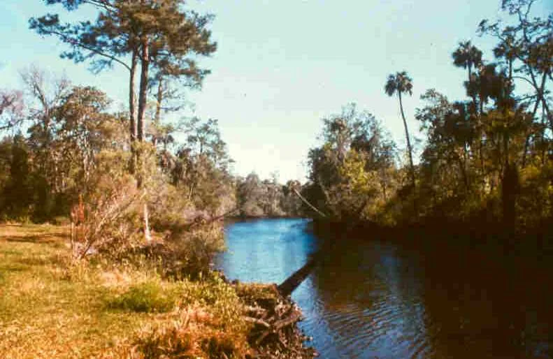 View related to Waccasassa Bay Preserve State Park