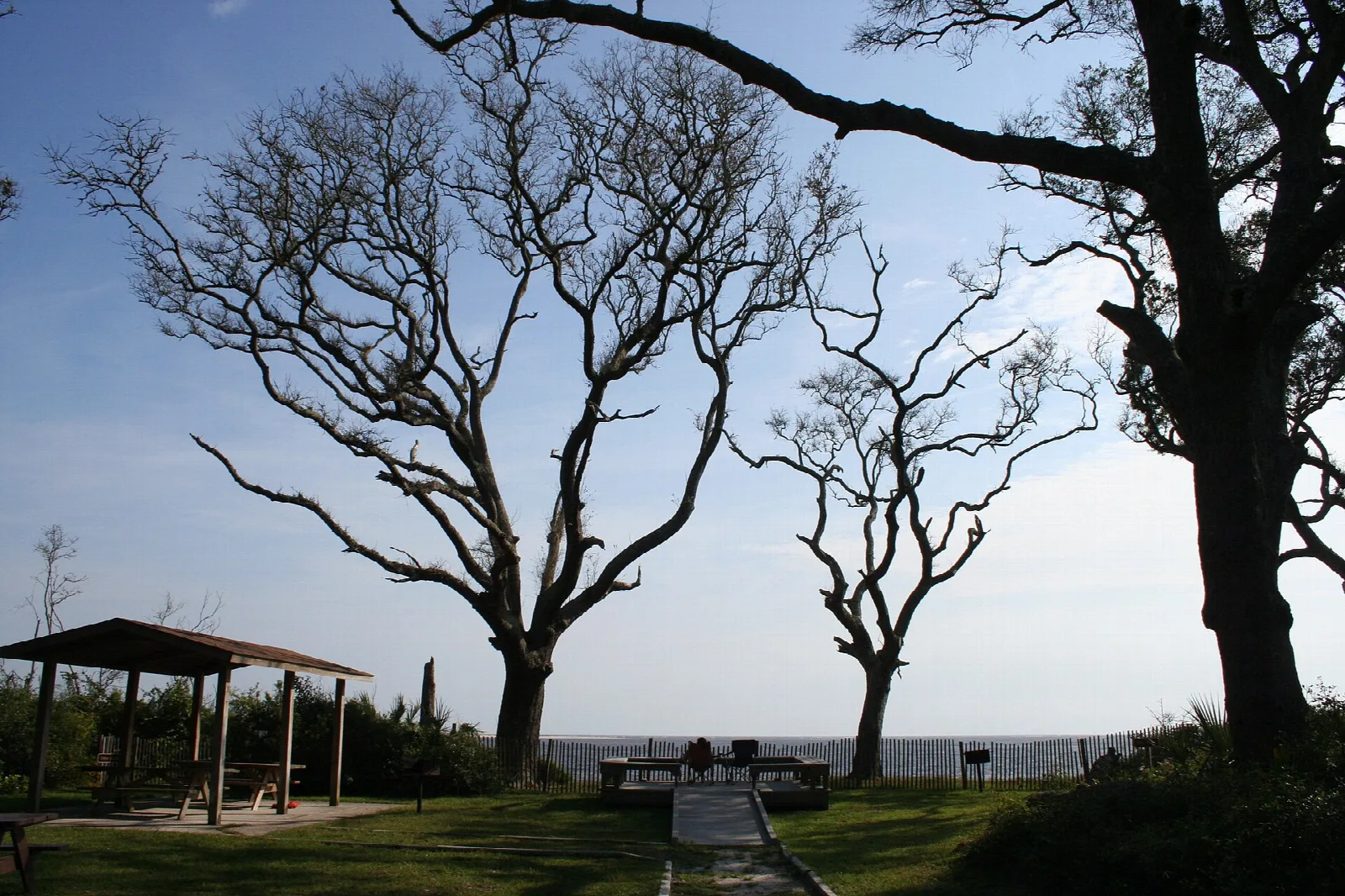 Picnic shelter and bare oaks on a lawn above the ocean