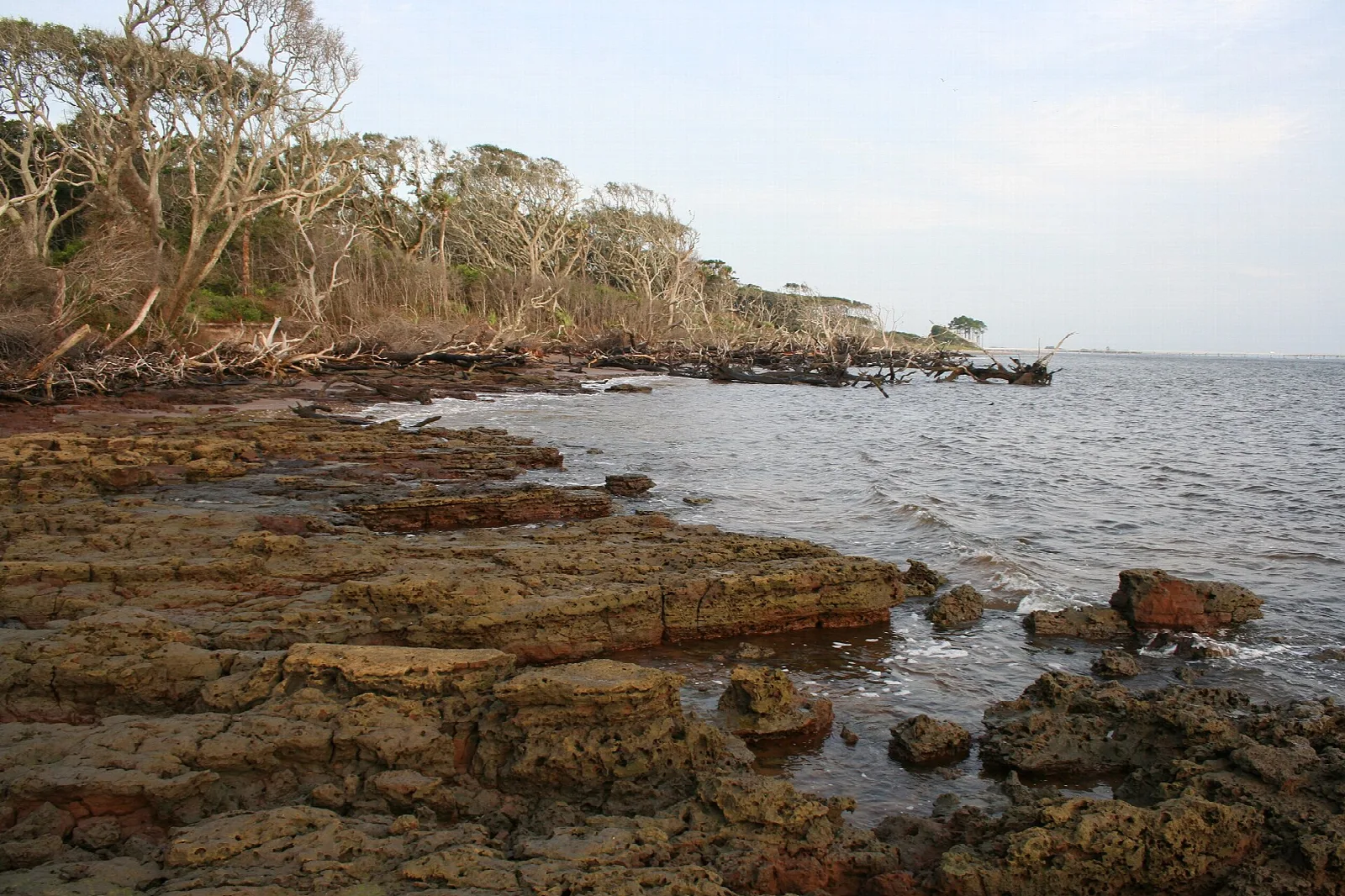 Rock shelf with weathered tree-lined bluff beside gray water