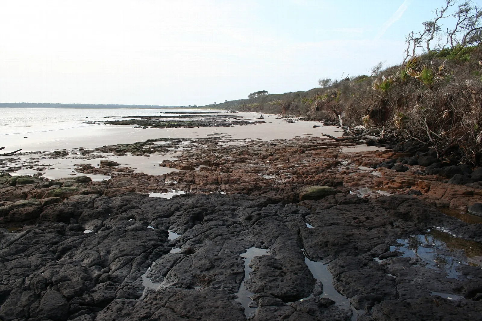 Dark rock formations on a beach below an eroding bluff