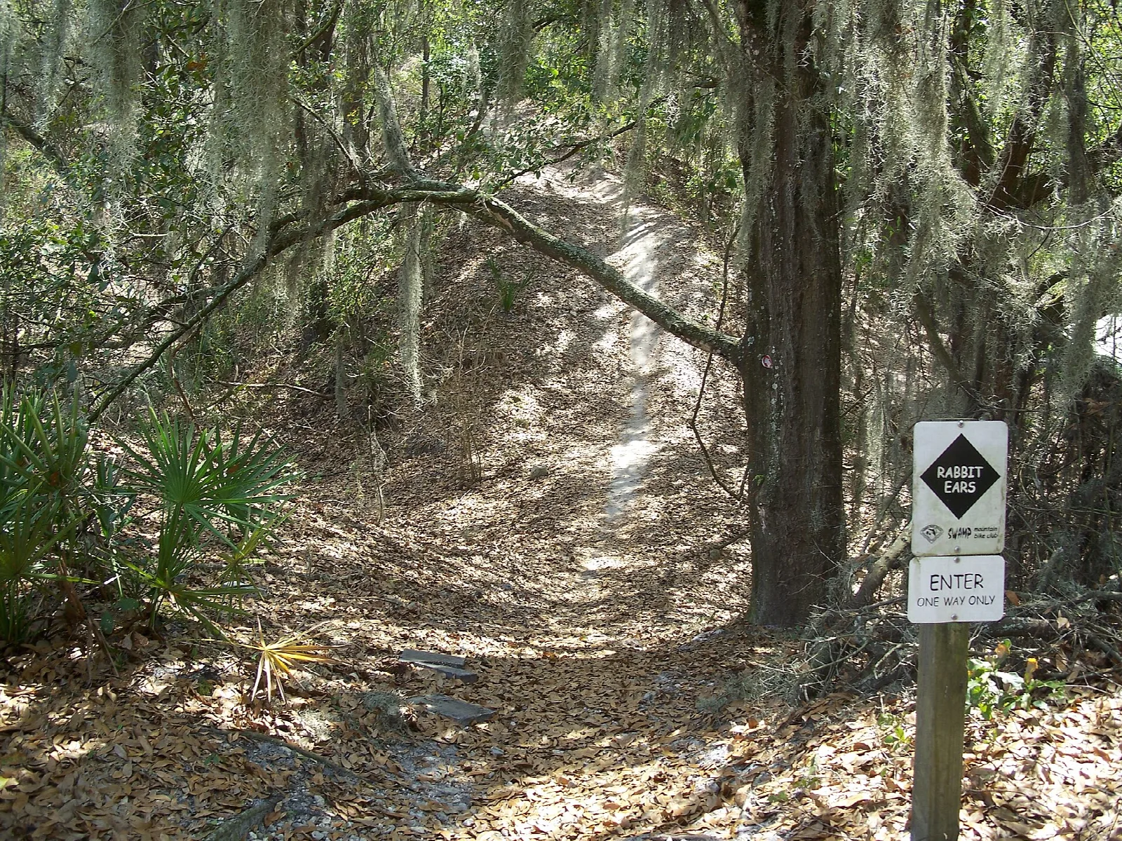 Shaded trail under moss-hung oaks with a trail sign