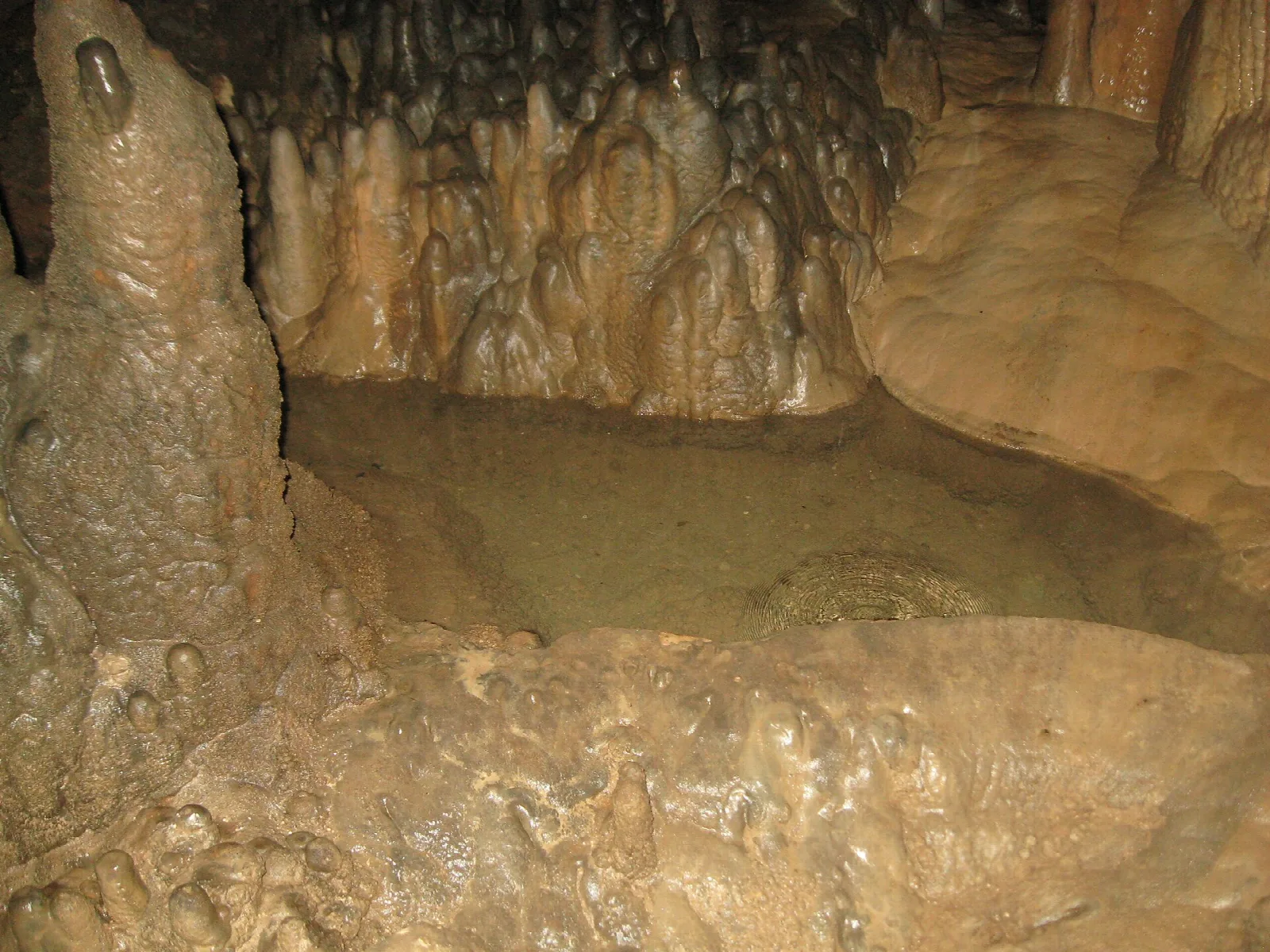 Small pool of water in a rough tan cave formation