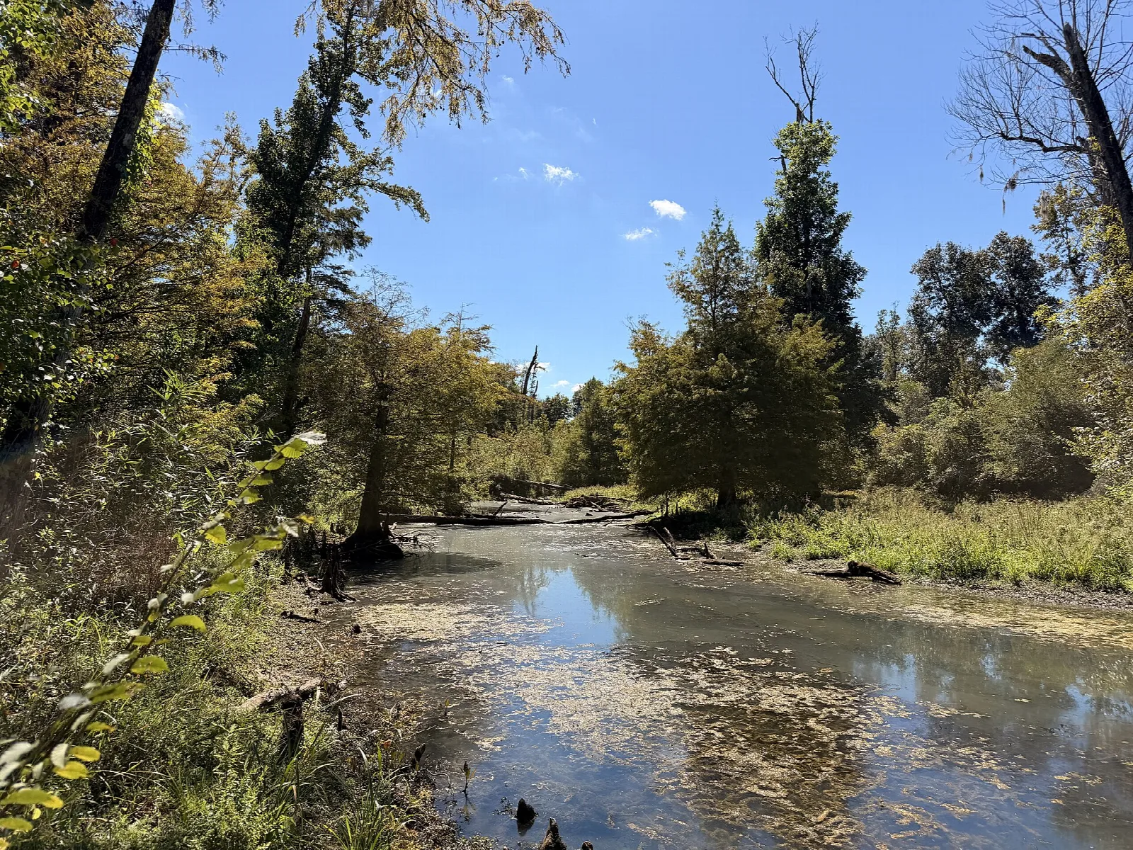 Still creek reflecting trees and sky