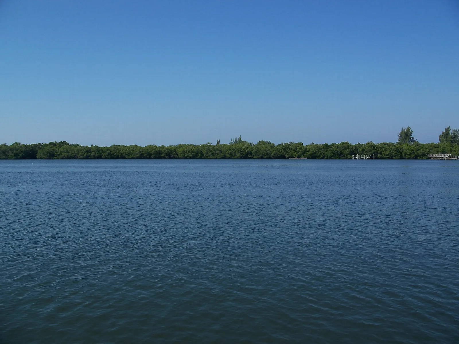 Calm blue bay with a green mangrove shoreline in the distance