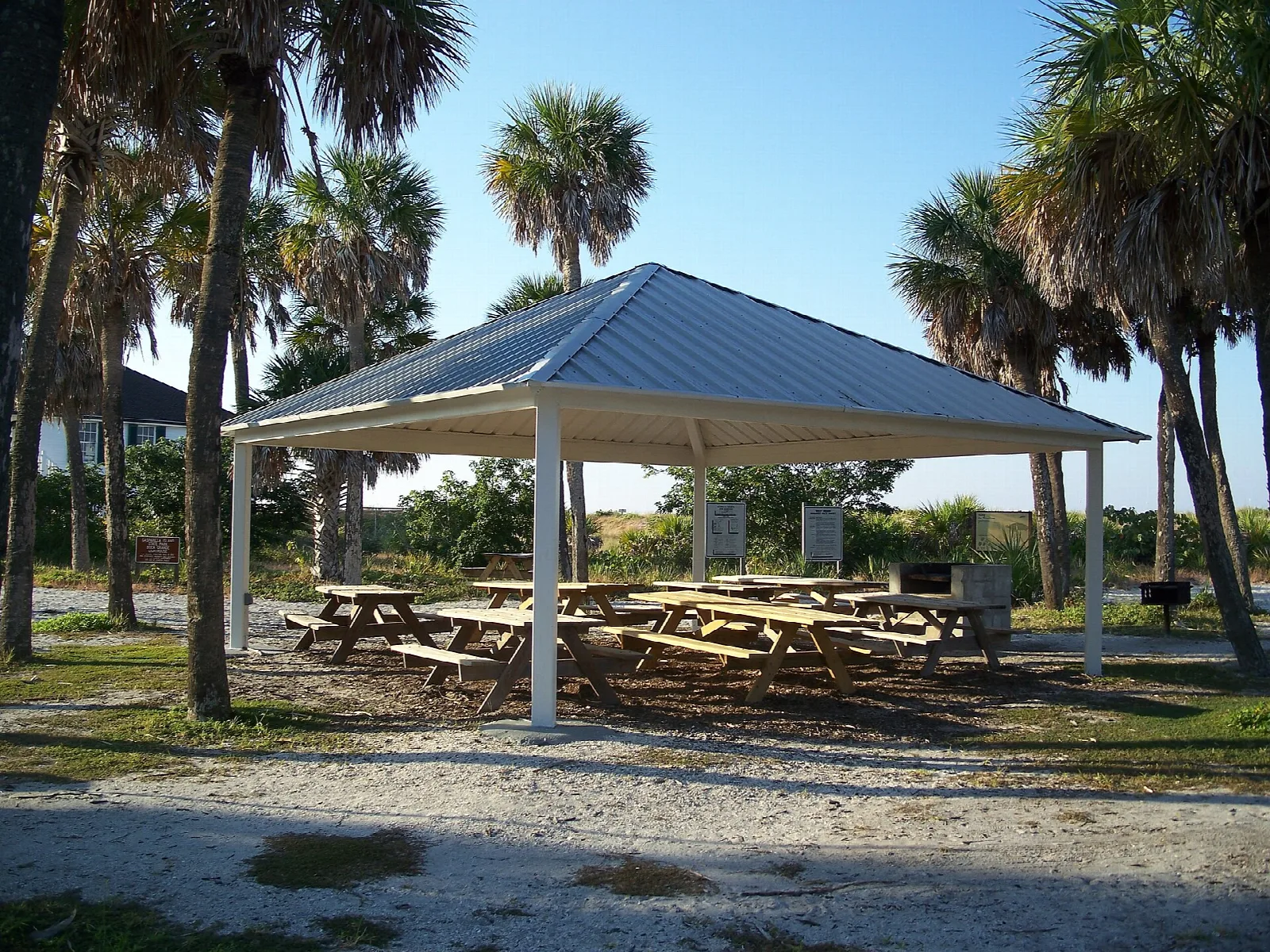 Metal-roofed picnic pavilion among palms