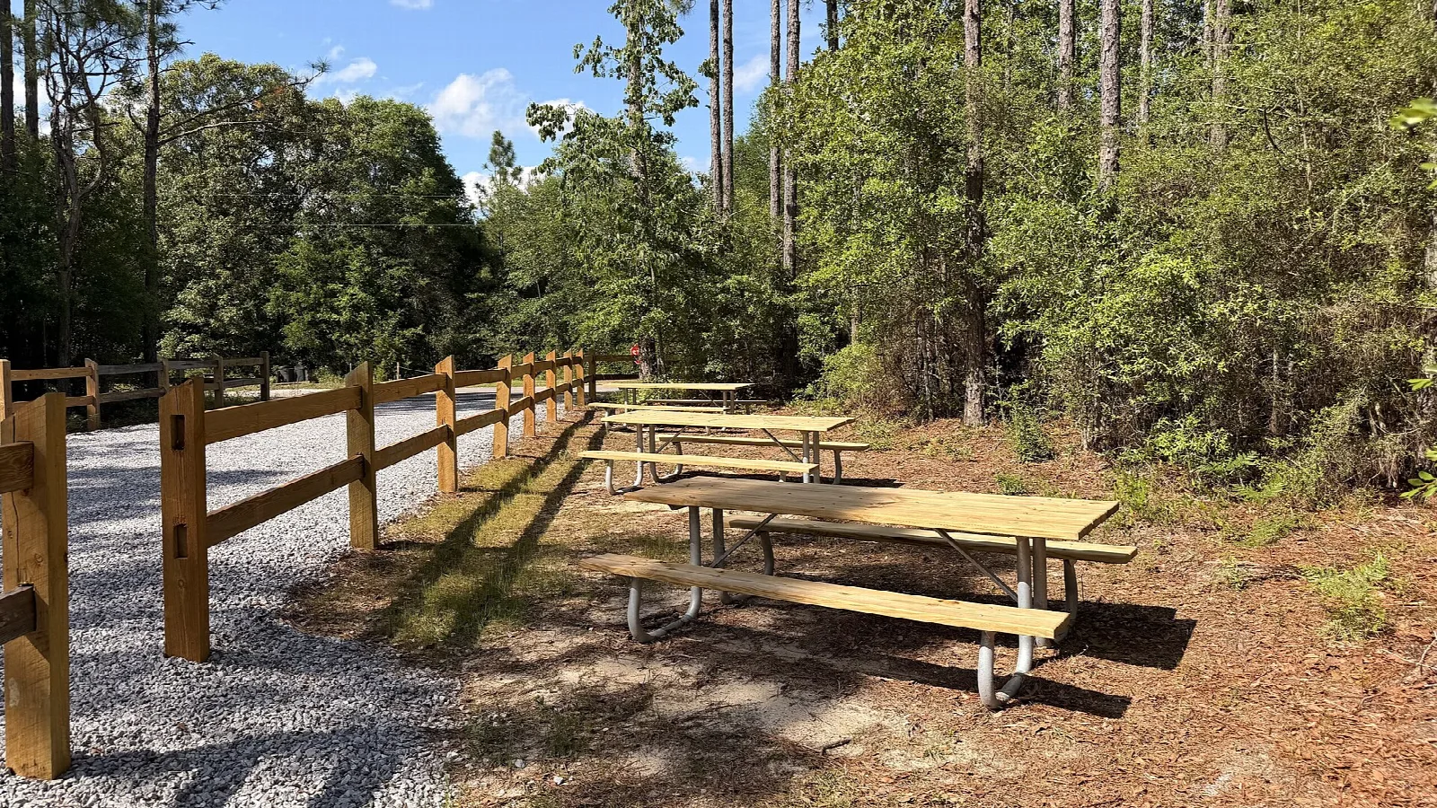 Wood picnic tables beside a split-rail fence among pines