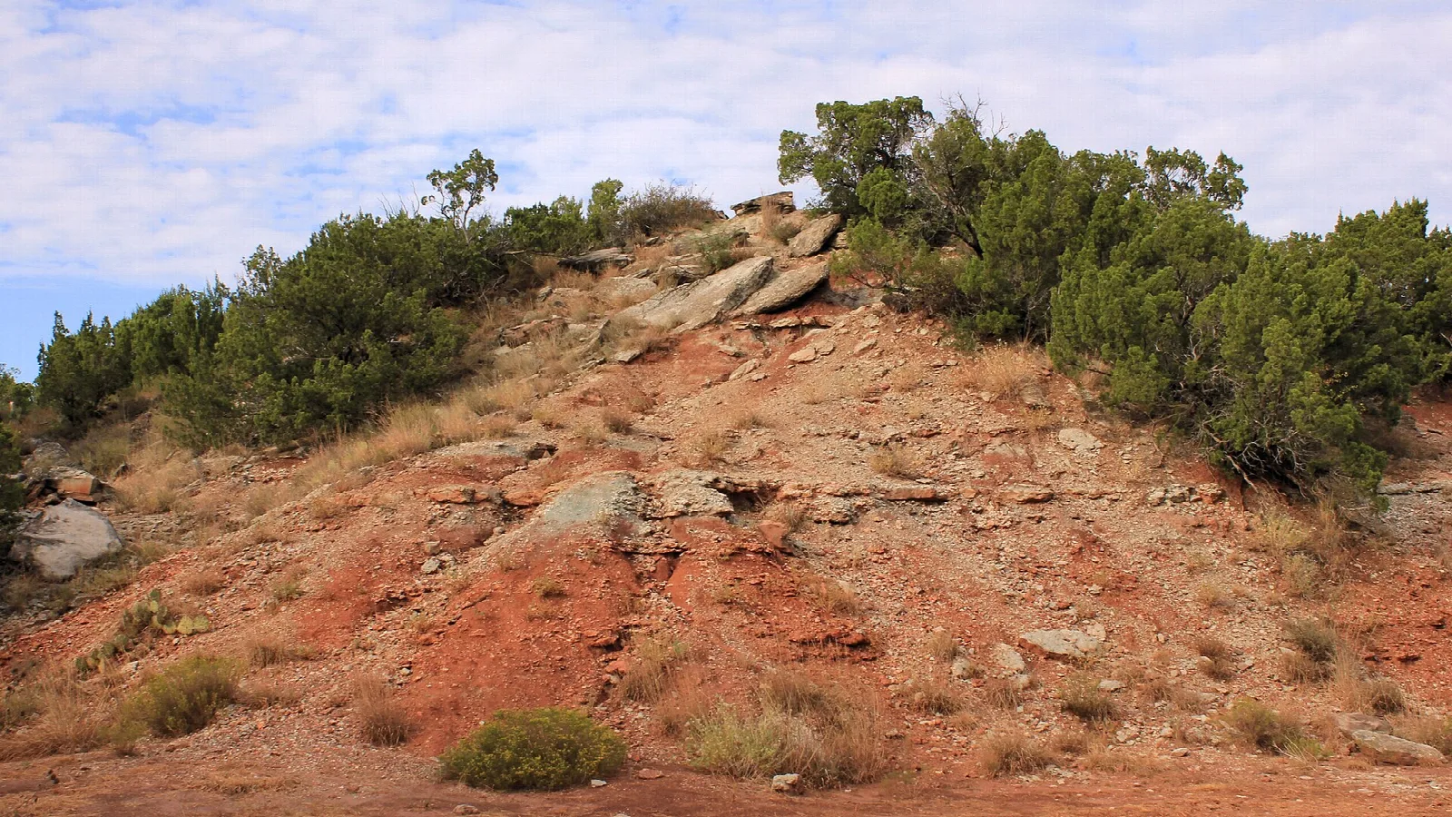 Red rock outcrop with scrub brush on a hillside