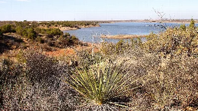 Lake Colorado City State Park