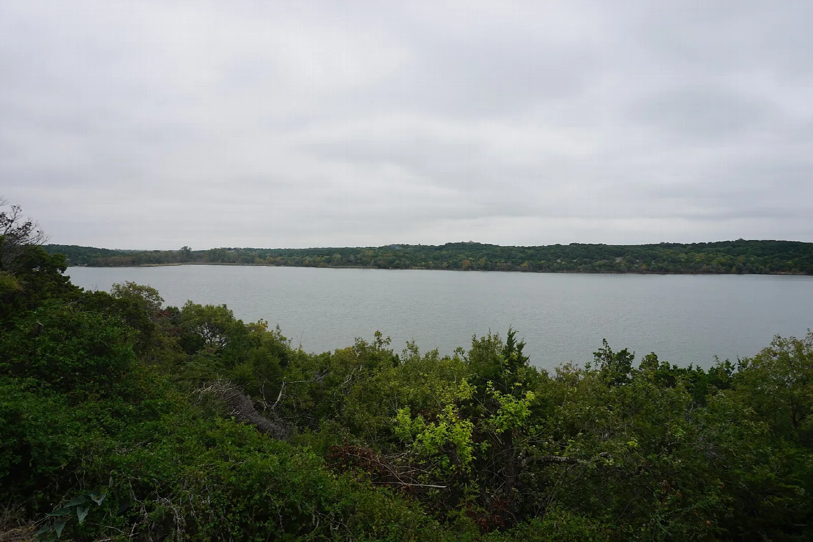 Lake seen through green brush from the shore