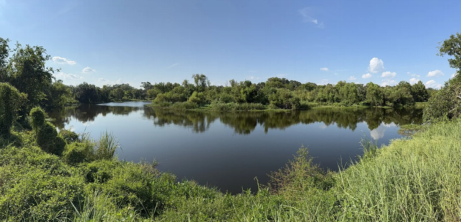 Calm lake with green shoreline and blue sky