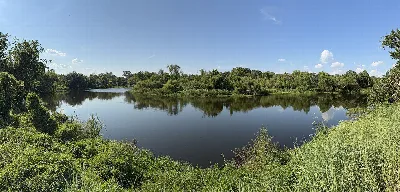Brazos Bend State Park