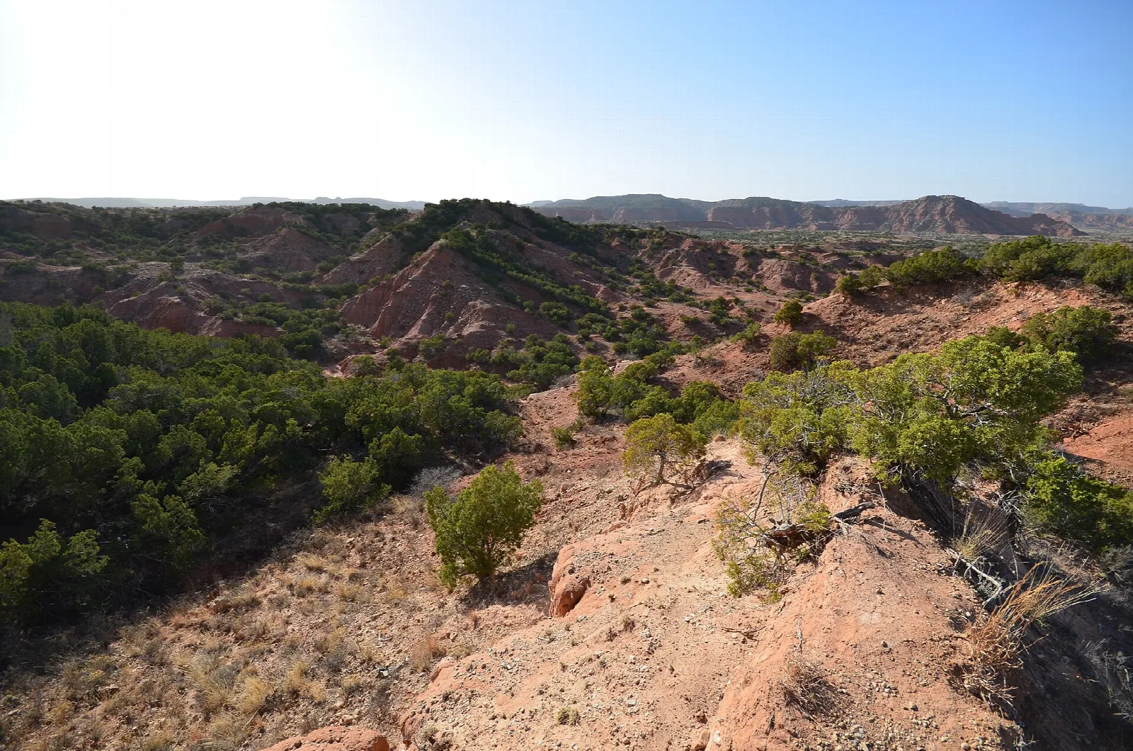 Red eroded canyon slopes with green trees
