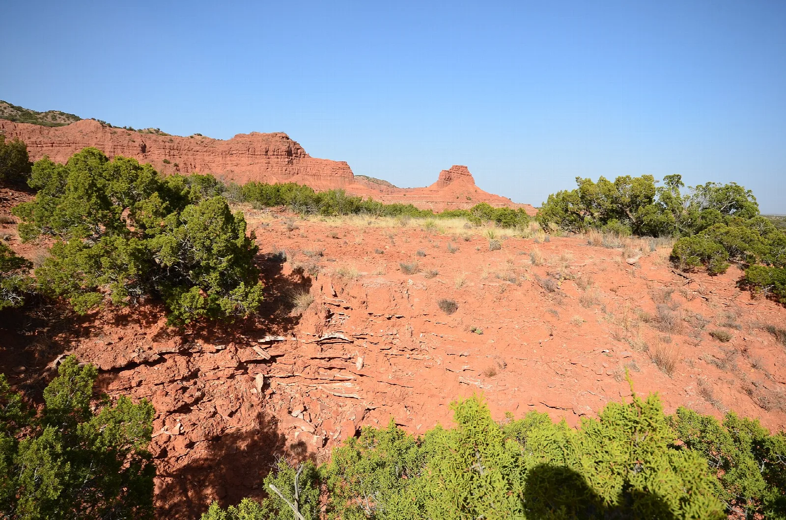 Red rock bluff and green brush on a canyon rim