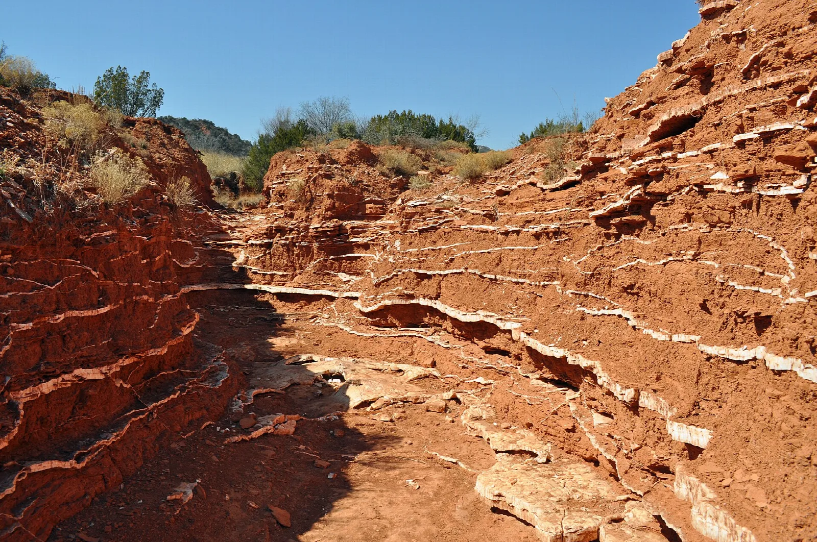 Narrow wash cut into red rock with pale gypsum layers