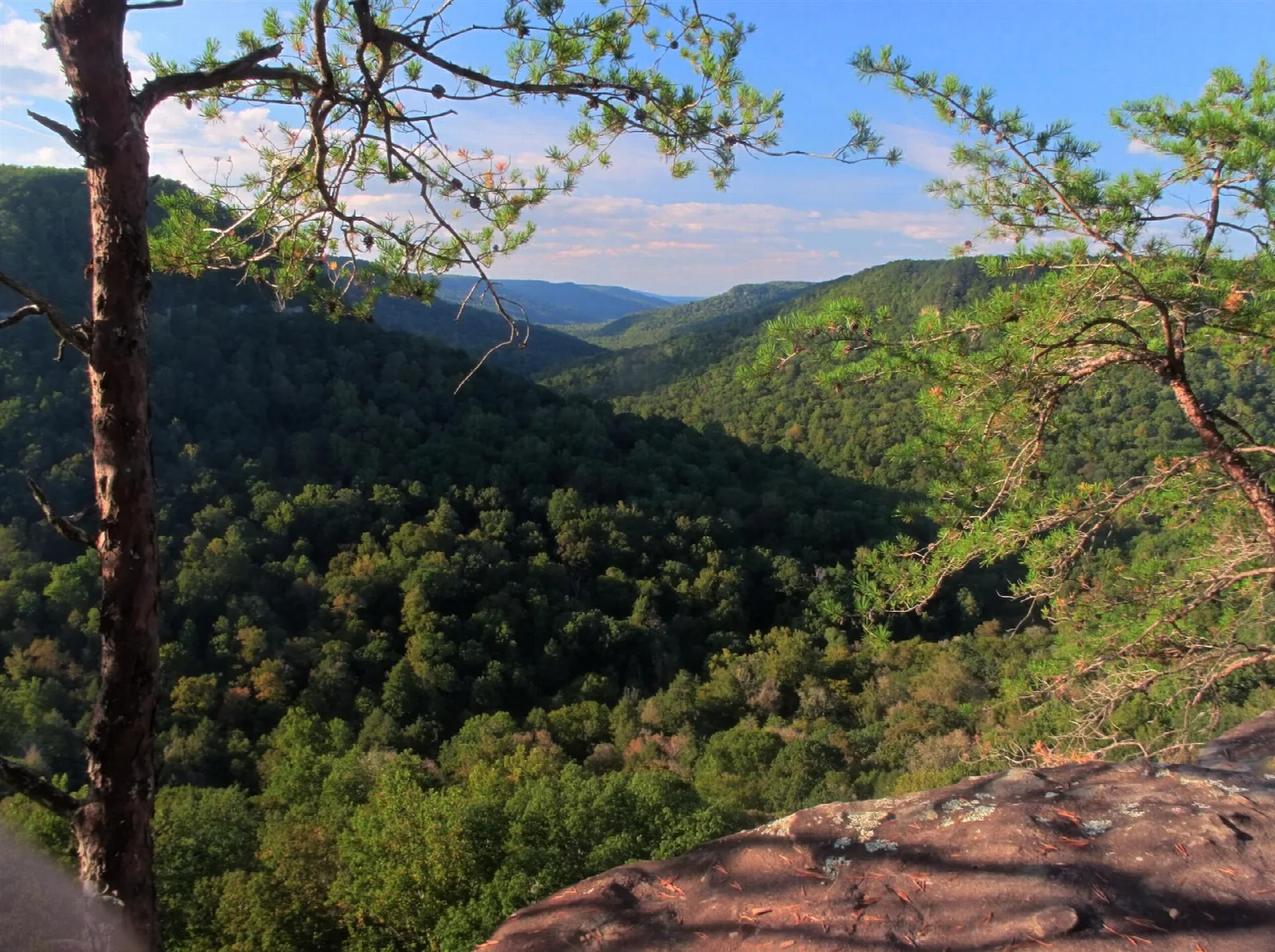 Forested valley and ridges seen from a rock overlook