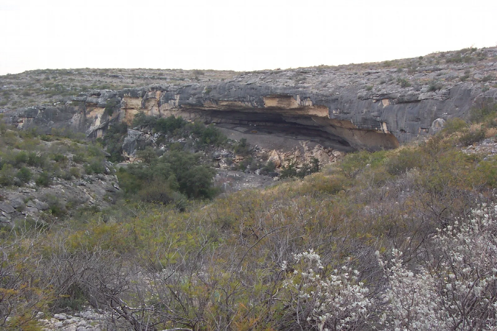 Rocky canyon rim with an overhang and white wildflowers