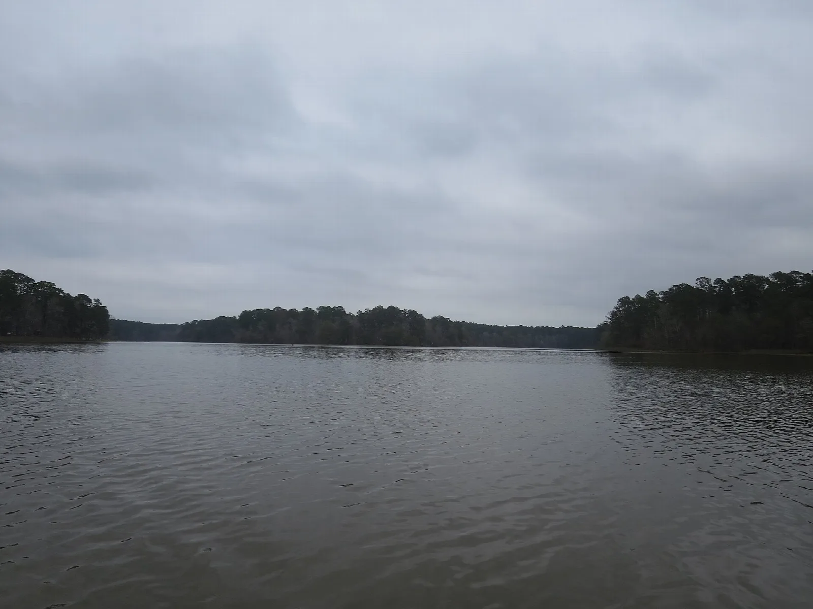 Wide calm lake with tree-lined shores under gray sky