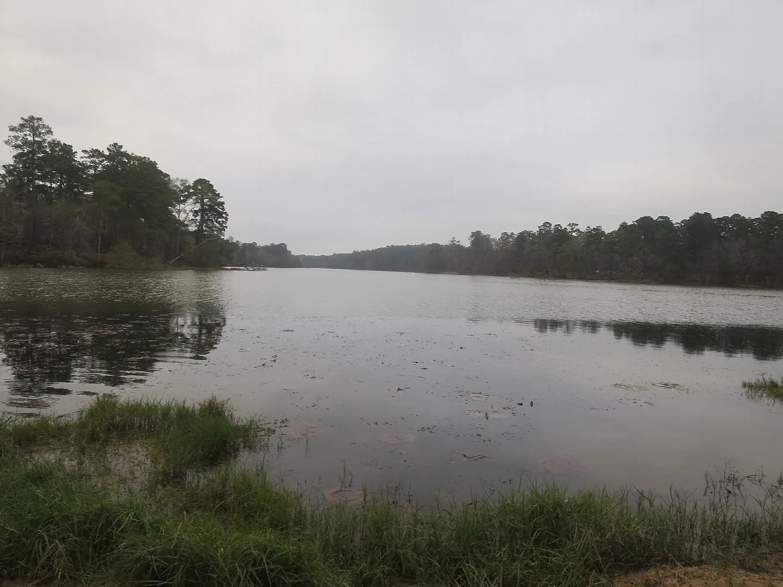 Lake with reflections and trees along the shore