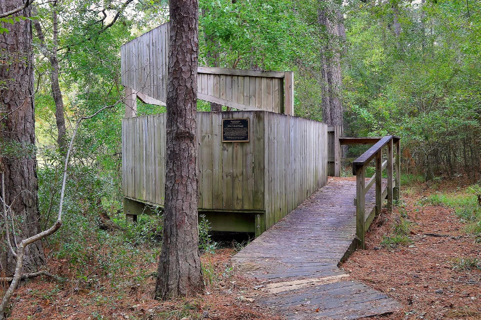 Wooden bird blind reached by a boardwalk among pines