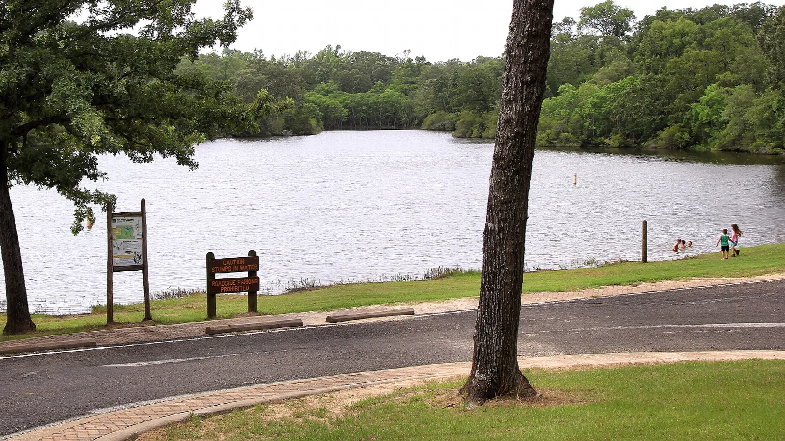Lake shore beyond a paved road with a sign and bench under trees