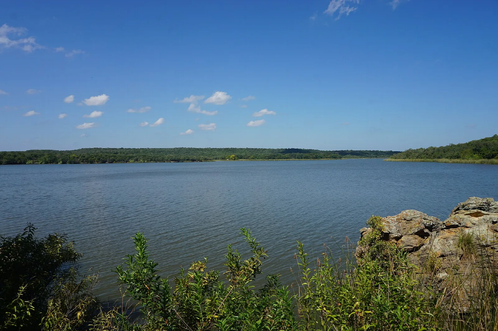 Wide blue lake with rocks in front and a long tree-lined shore