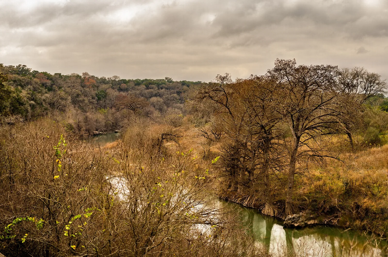 River bending through bare winter trees and brush under a cloudy sky