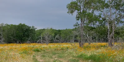Lake Somerville Trailway State Park