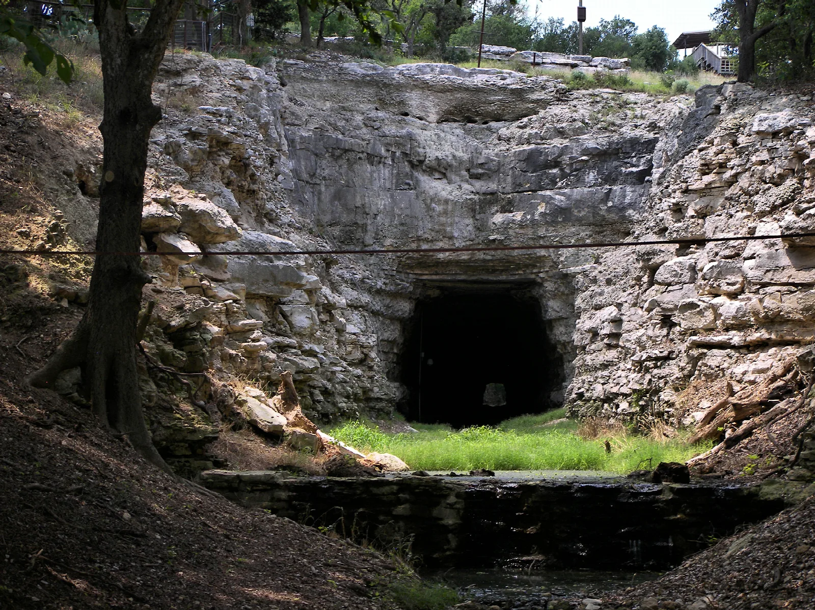 Dark tunnel mouth in a rough limestone cut with green grass at its base