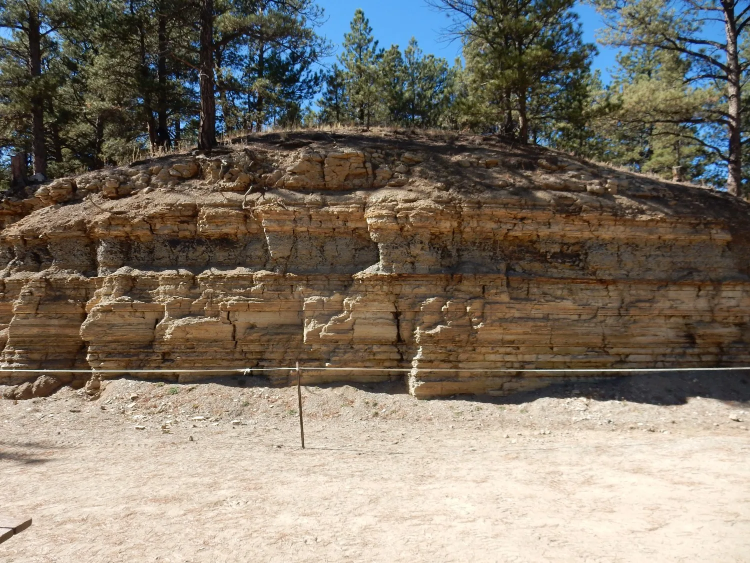 Florissant Fossil Beds National Monument