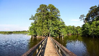 Martin Dies, Jr. State Park