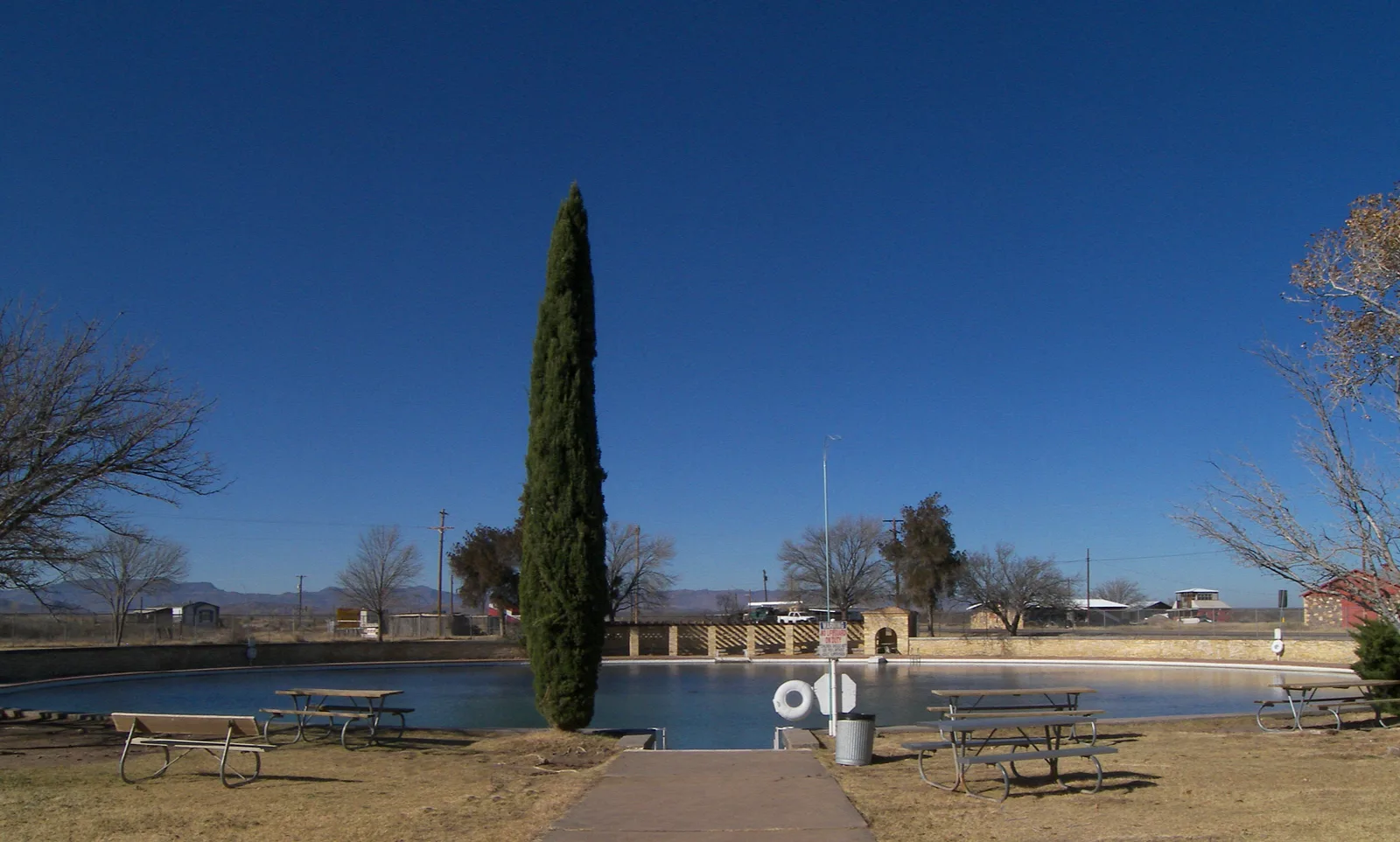 Large spring-fed swimming pool with a tall cypress and picnic benches